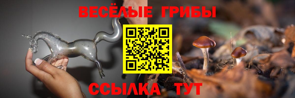 Волоколамск  Галлюциногенные грибы ЛСД  Вход с VPN  Галлюциногенные грибы прущие грибы 